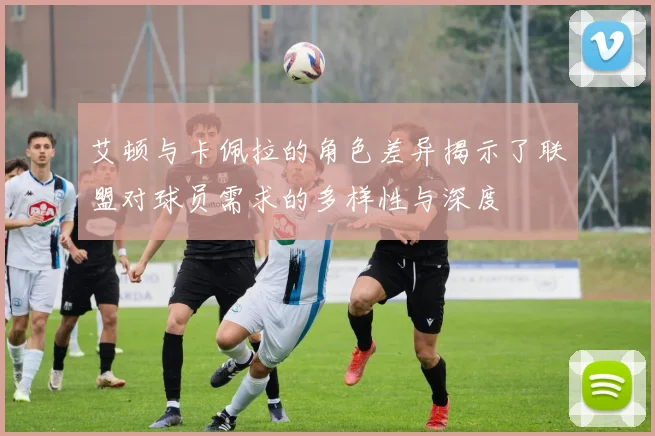 艾顿与卡佩拉的角色差异揭示了联盟对球员需求的多样性与深度