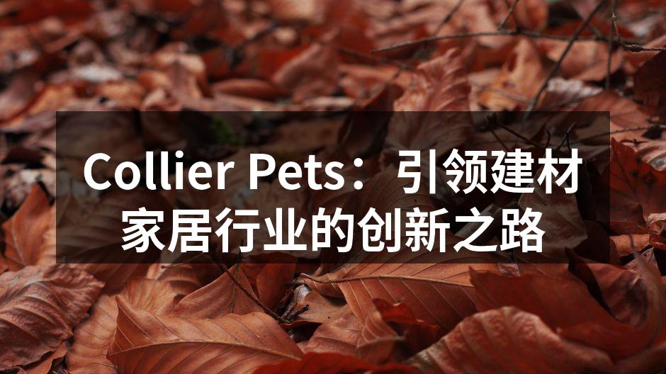 Collier Pets：引领建材家居行业的创新之路