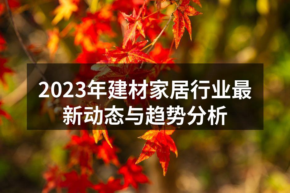 2023年建材家居行业最新动态与趋势分析
